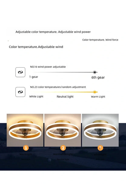 Modern Ceiling Fan Light With Remote Control